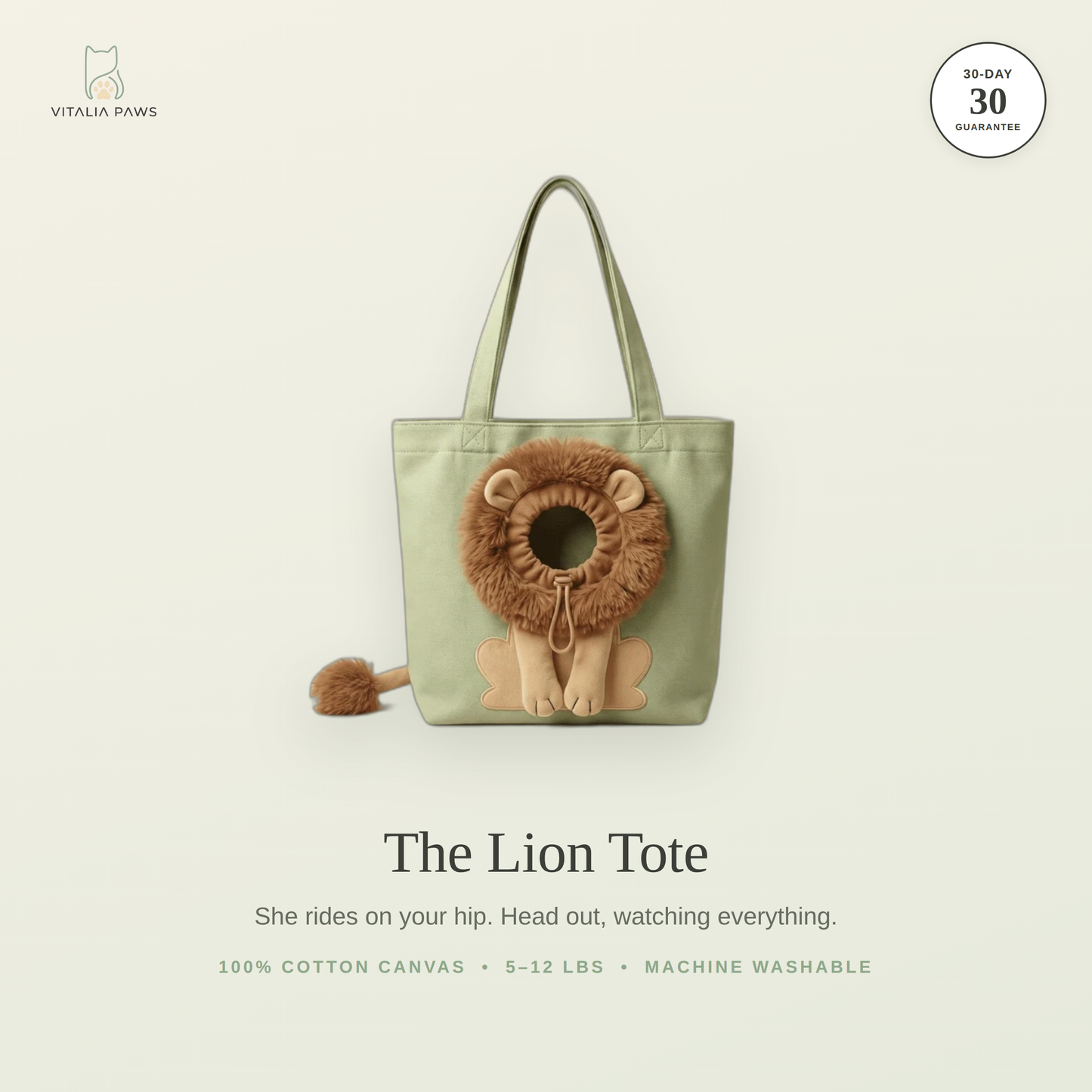 Cat Carrier Bag