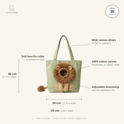 Cat Carrier Bag